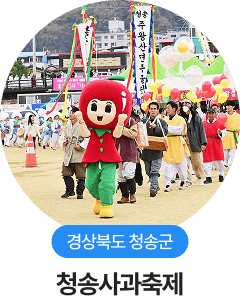 경상북도 청송군, 청송사과축제