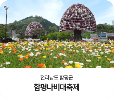 전라남도 함평군, 함평나비대축제