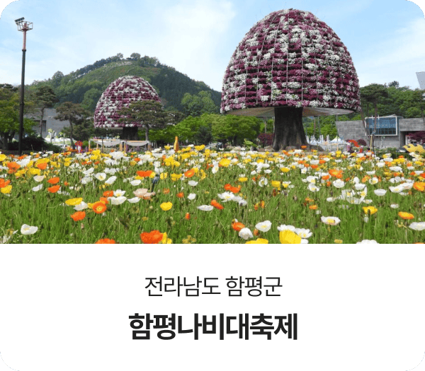 전라남도 함평군, 함평나비대축제