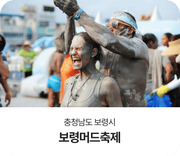 충청남도 보령시, 보령머드축제