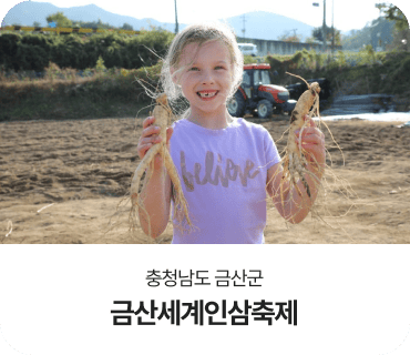 충청남도 금산군, 금산세계인삼축제