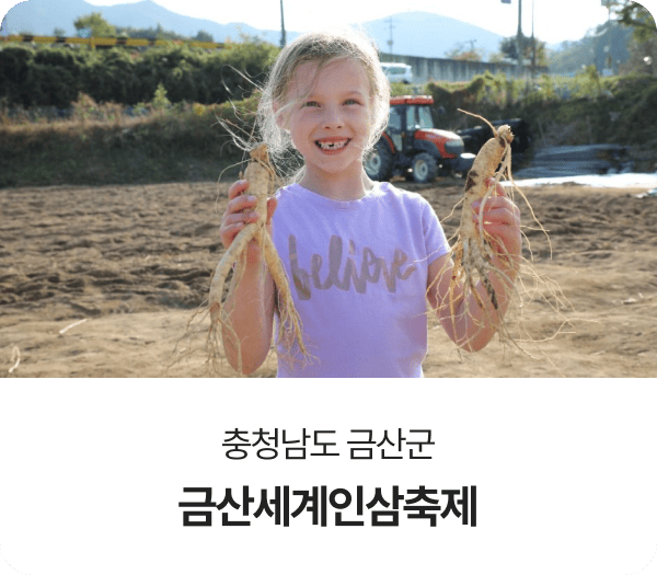 충청남도 금산군, 금산세계인삼축제