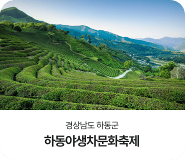 경상남도 하동군, 하동야생차문화축제