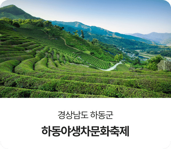 경상남도 하동군, 하동야생차문화축제