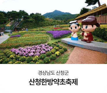 경상남도 산청군, 산청한방약초축제