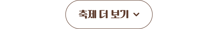 축제 리스트 더보기