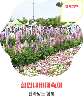 함평나비대축제, 전라남도 함평, 축제기간