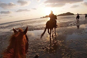 [전북 고창] 고창해변승마클럽