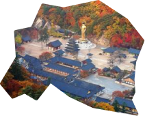 보은 지역