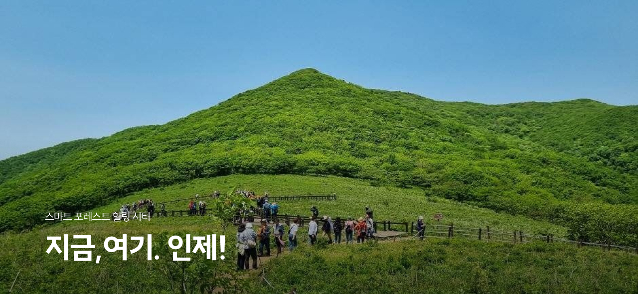 visual03.jpg