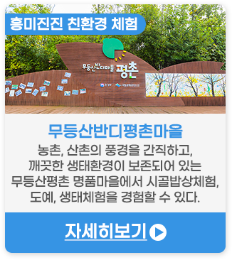 무등산반디평촌마을 | 농촌, 산촌의 풍경을 간직하고, 깨끗한 생태환경이 보존되어 있는 무등산평촌 명품마을에서 시골밥상체험, 도예, 생태체험을 경험할 수 있다.
