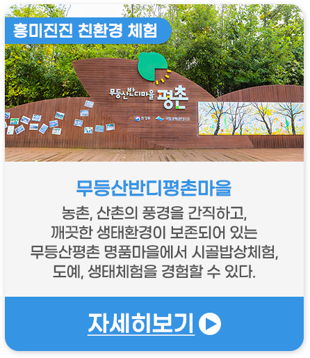 무등산반디평촌마을 | 농촌, 산촌의 풍경을 간직하고, 깨끗한 생태환경이 보존되어 있는 무등산평촌 명품마을에서 시골밥상체험, 도예, 생태체험을 경험할 수 있다.