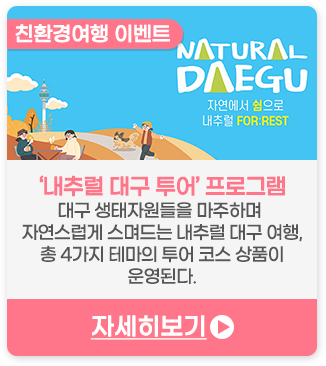 친환경여행 이벤트 | 내추럴 대구 투어 프로그램 - 대구 생태자원들을 마주하며, 자연스럽게 스며드는 내추럴 대구여행, 총 4가지 테마의 투어 코스 상품이 운영된다.