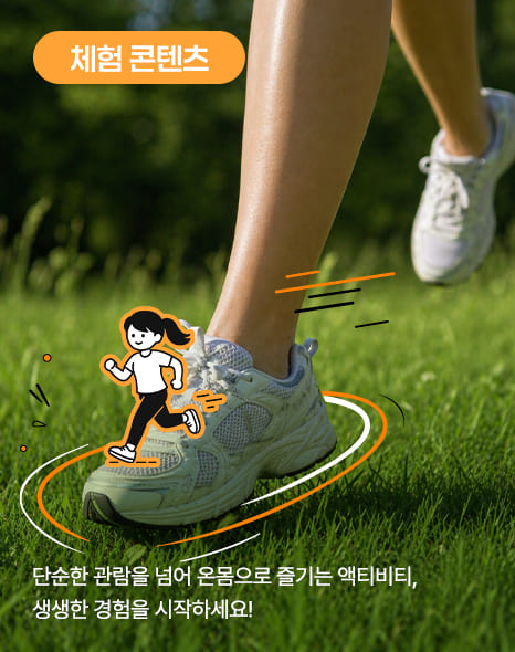 체험 콘텐츠